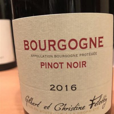 2016 Domaine Gilbert et Christine Felettig Bourgogne Pinot Noir