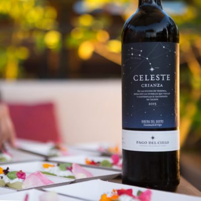 Torres Celeste Riberta del Duero Crianza 2015